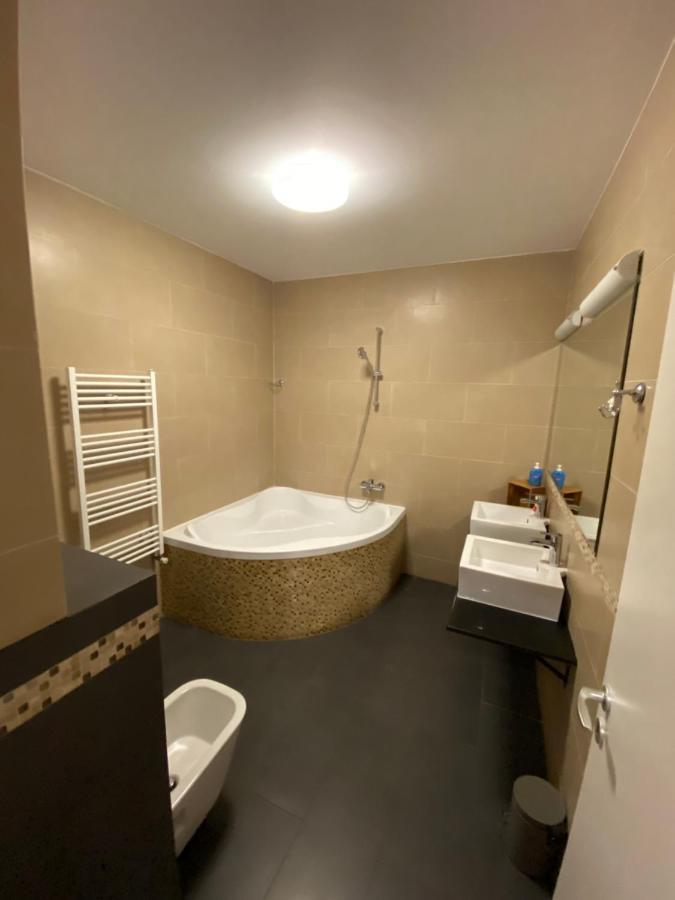 Gaga Residence 3 Тімішоара Екстер'єр фото